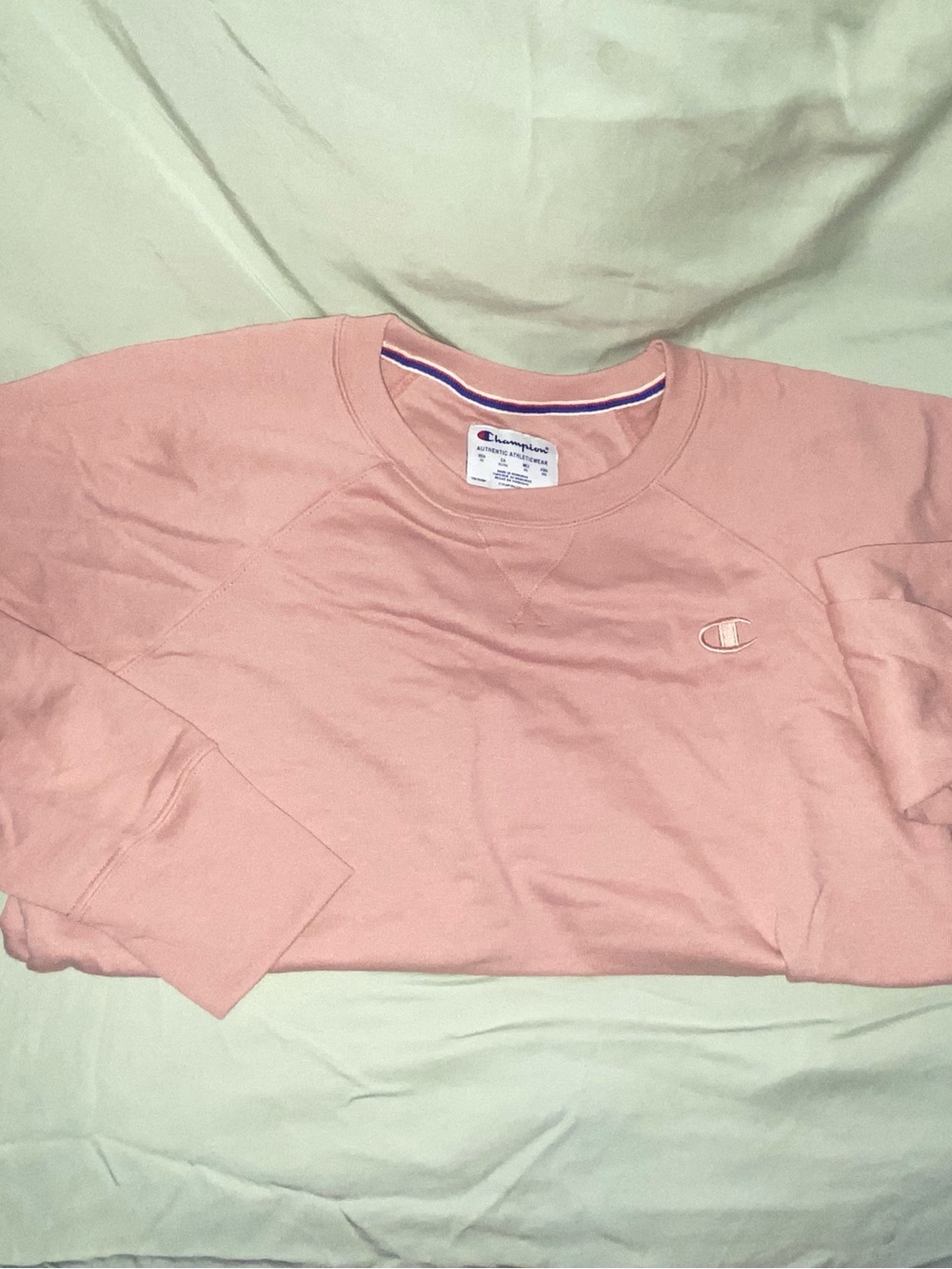 Champion Dusty Pink Sweatshirt XL